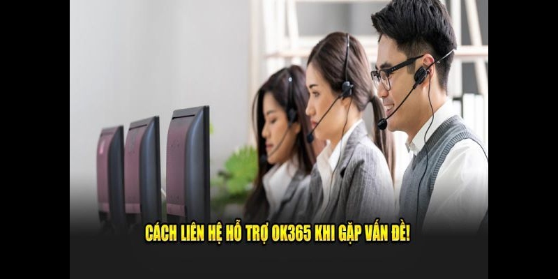 Cách liên hệ hỗ trợ Ok365 khi gặp vấn đề