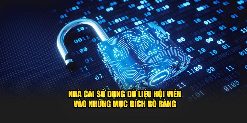 Nhà cái sử dụng dữ liệu hội viên vào những mục đích rõ ràng 